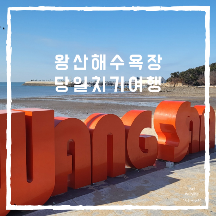  [인천 당일치기여행]왕산해수욕장에서 조개구이 먹고 동양염전 나들이