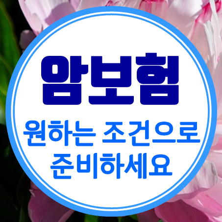  60대암보험 추천 90세로 할까 100세만기암보험으로 할까?