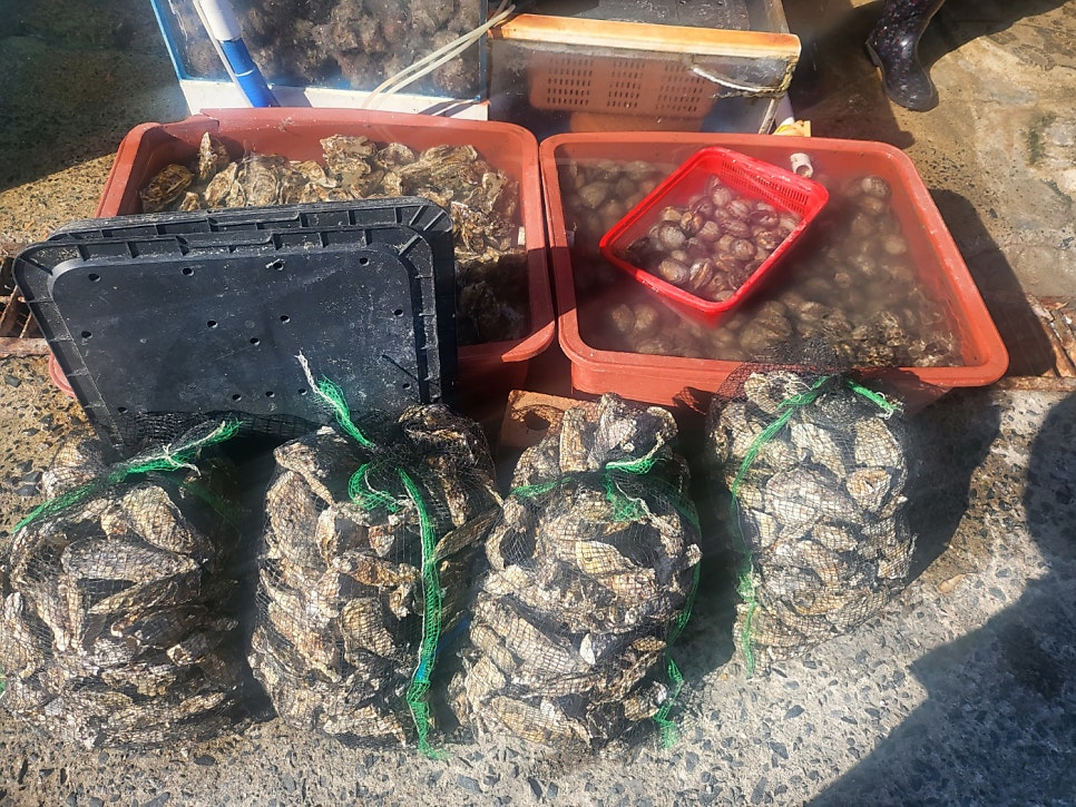 북항황금수산 사진 5