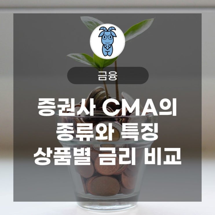 증권사 CMA의 종류(RP, MMF, MMW, CP, 종합금융형)와 특징, 상품별 금리 비교