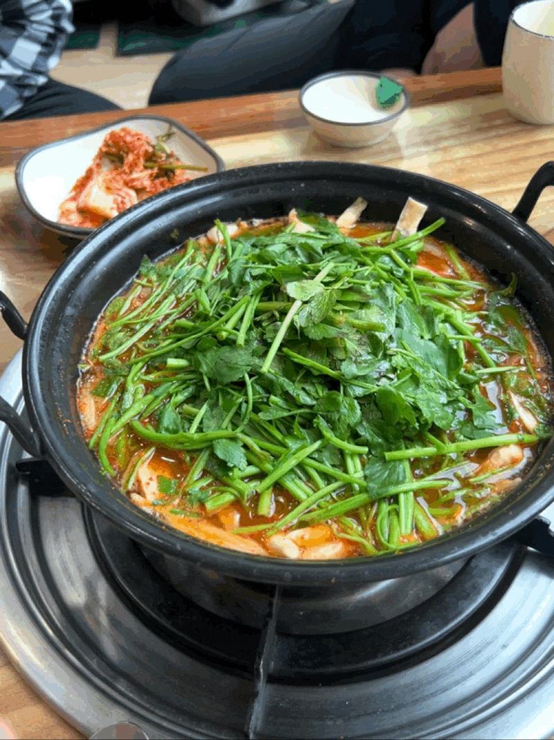 [강릉] 교동 샤브칼국수, "등촌샤브칼국수"