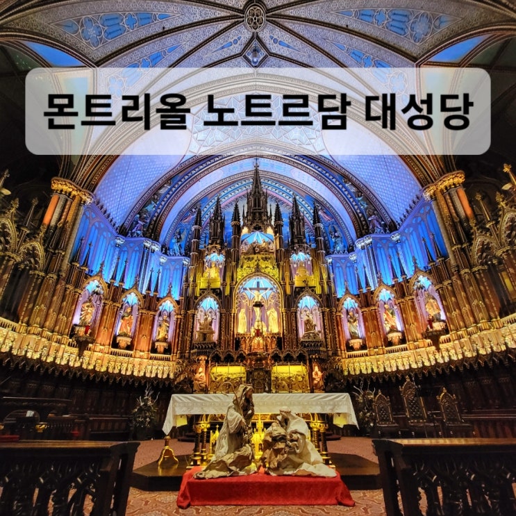  몬트리올 구시가지와 몬트리올 대성당 도보여행