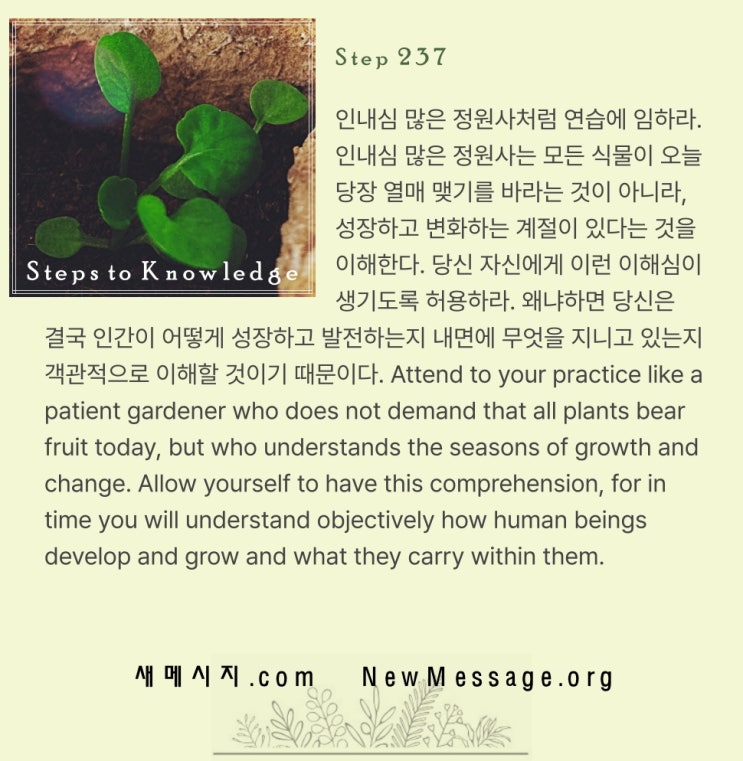 제 237 계단: 나는 삶의 의미를 이제 겨우 이해하기 시작했다 I am only beginning to comprehend the meaning of my life 제 237 계단: 나는 삶의 의미를 이제 겨우 이해하기 시작했다 I am only beginning to comprehend the meaning of my life