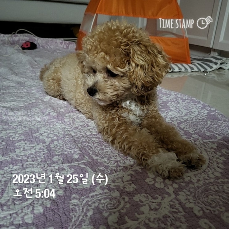  1월26일 미라클 모닝
