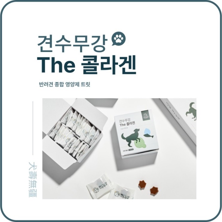 [강아지 영양간식 추천] 견수무강 The 콜라겐