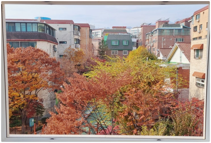  좋은 빌라 고르는 꿀팁