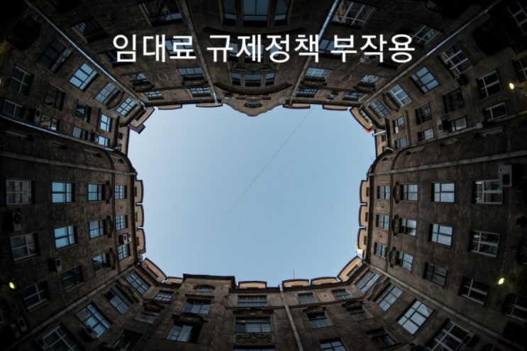  부동산 기초: 임대료 규제정책(전월세 상한제)의 부작용(feat.부동산학 개론)