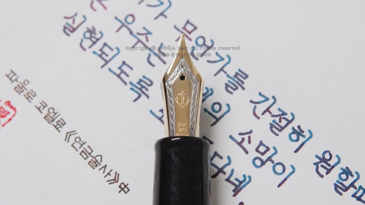  온 우주가 도와준다? (세일러 프로기어 21k M닙 만년필로 필사하기)