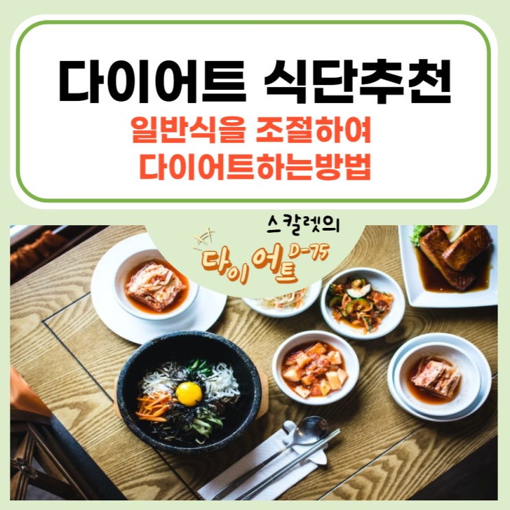  다이어트 식단 추천 일반식을 조절하여 다이어트 하는 방법