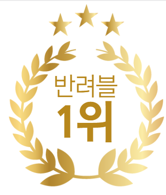  퍼스널브랜딩 점검, 부끄럽지만, 반려블 부문 국내 1위 달성했습니다.