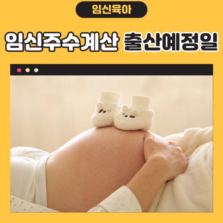 임신주수계산기 분만 출산예정일 알기