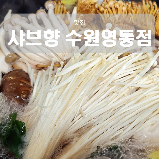 영통역 맛집 샤브샤브 샤브향 수원영통점