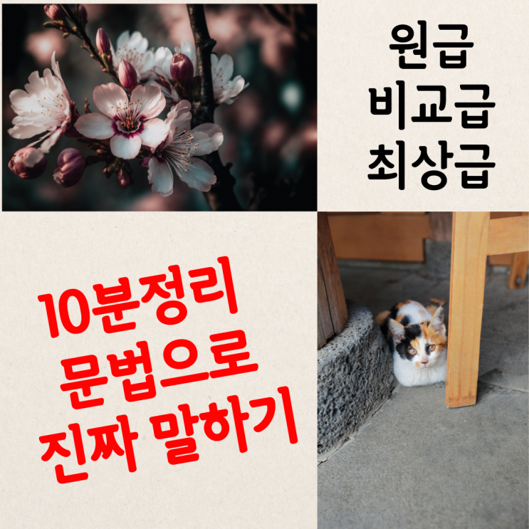 (일산시사영어학원) 비교구문(원급,비교급,최상급) 관용표현 '진짜' 사용하기와 주의해야할 포인트 10분 정리