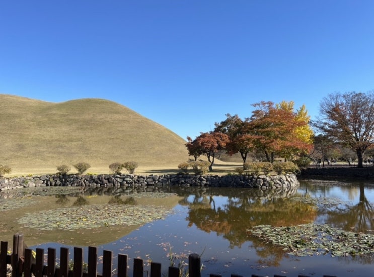  경주 여행 대릉원과 궁둥과 월지 꼭 가봐야함