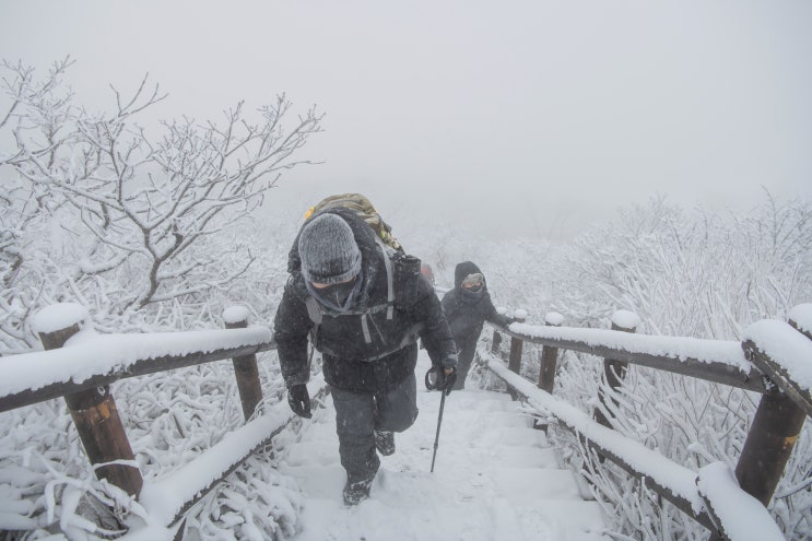 덕유산 상고대를 따라 걷는 눈꽃여행 (향적봉 > 설천봉)