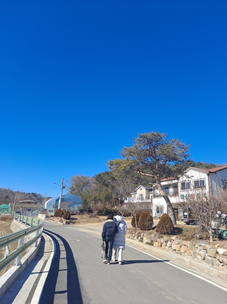  탑텐슈퍼에어롱다운점퍼 후기  탑텐세일