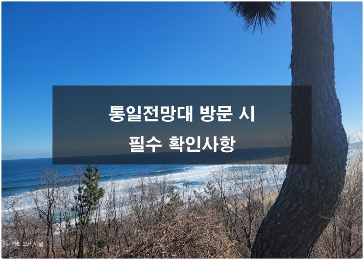  강원도 고성 통일전망대 방문시 필수 확인사항! 출입신고서 발급방법 및 출입신고소 주소