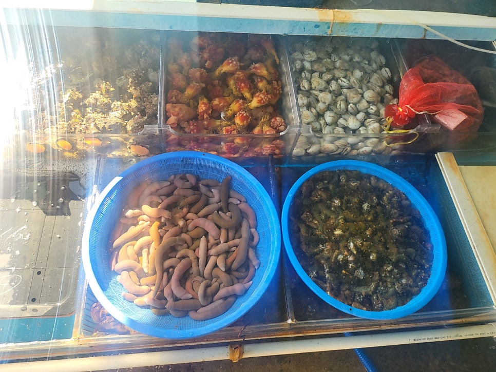 북항황금수산 사진 4