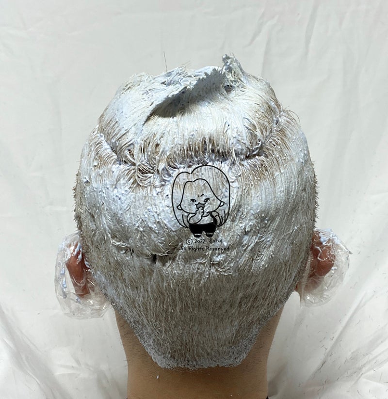 셀프탈색 내돈내산 흰머리 염색머리엔