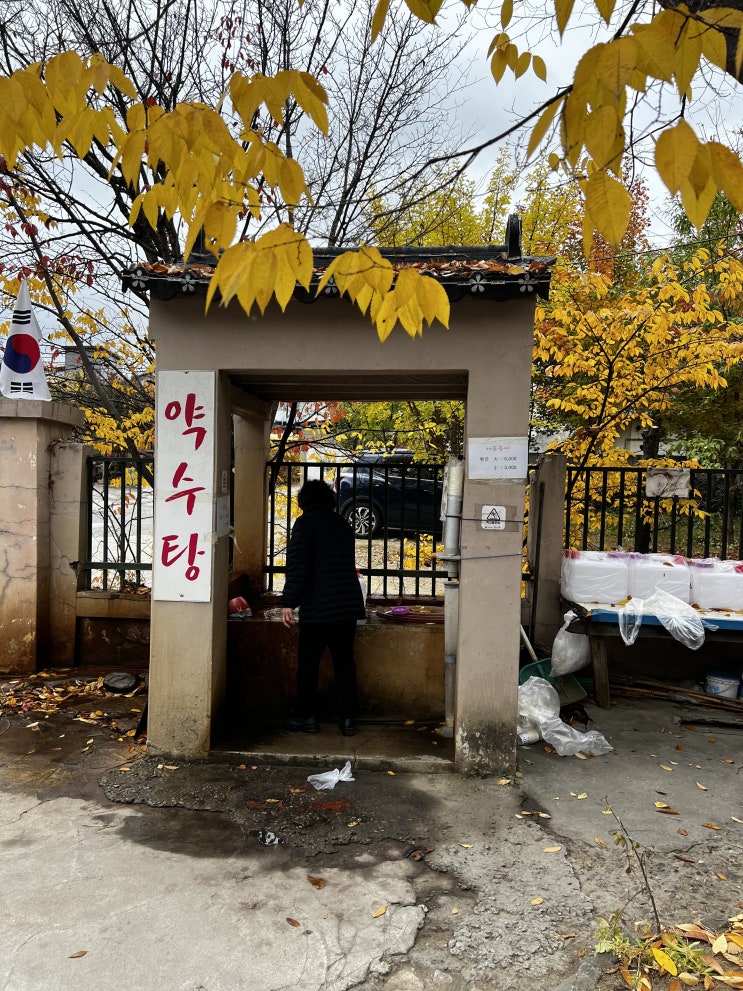  어느 비 오는 날 차 박(ft. 달기 약수 신촌 식당 닭백숙)