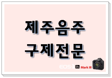 제주 음주운전 면허취소에 대하여 제주 음주운전 면허취소에 대하여