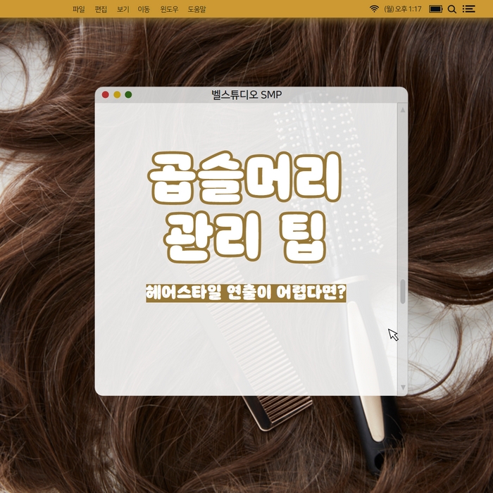  곱슬머리 관리 팁, 헤어스타일 연출이 어렵다면?
