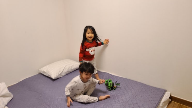  카본매트 후기 자게스 탄소매트 전자파 없는 전기요 세탁 전기세 걱정끝