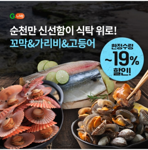  1월 26일 OK캐쉬백 오퀴즈 G라이브 순천만 정답