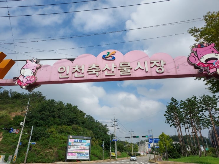  [인천/서구] 가좌동 인천축산물시장(인천가좌축산물도매시장)ㆍ인천도매정육점