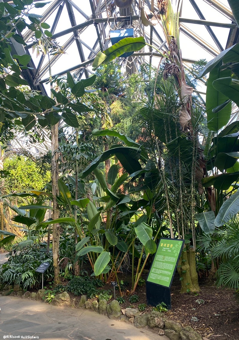 File:하늘물빛정원 허브,열대식물원.jpg - Wikimedia Commons, image size:797x1134