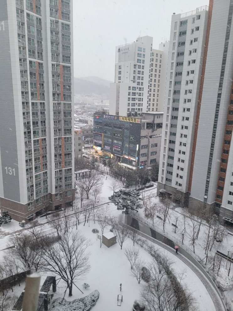  지금 인천 눈와요~~