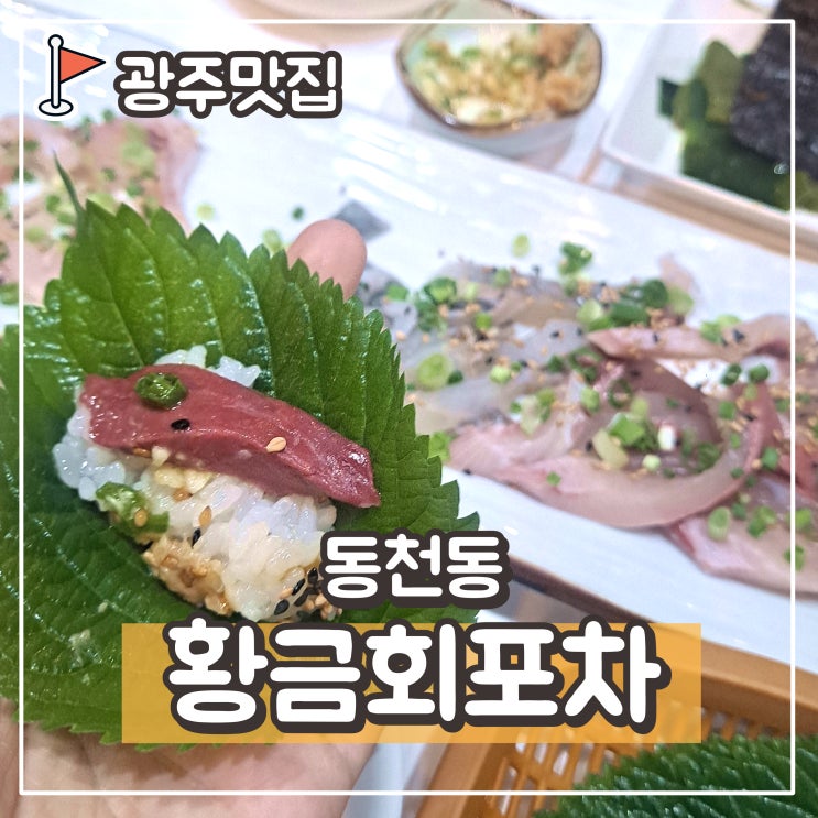  광주 서구 횟집, 상무지구 맛집 동천동 황금회포차에서 싱싱한 광주 활어회와 매운탕!