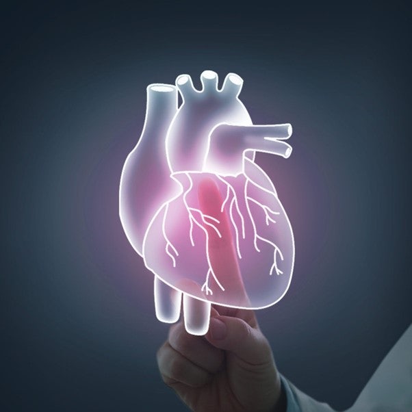 심장 부정맥으로 병원에 가면 어떤 검사를 받게 되나요?