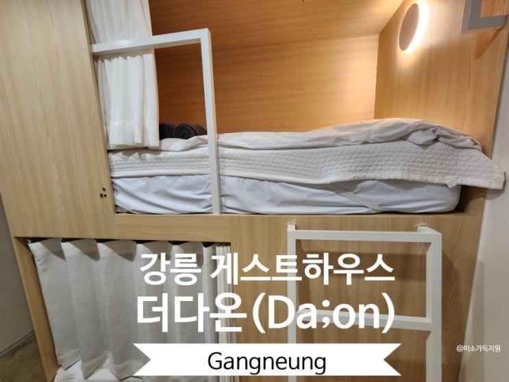  강릉 게스트하우스 더다온 이국적인 강릉역 숙소 내돈내산 후기