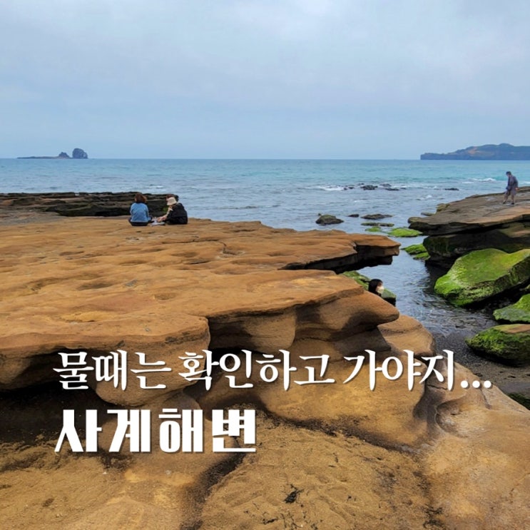  사계해변 간조 물때 확인도 안하고 가는 사람이 있다? +포토존, 카이트서핑