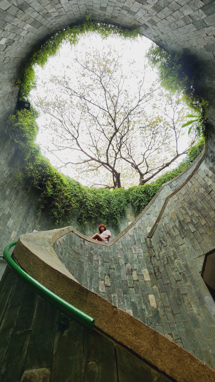  싱가포르 로컬 포토죤 Fort Canning Park 포트캐닝공원 트리터널 위치찾기 !!