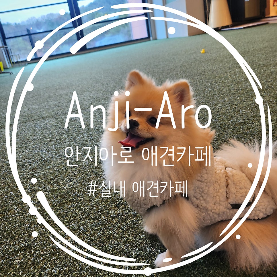 안지아로 사진 1