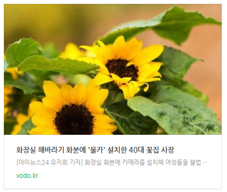 [오후뉴스] 화장실 해바라기 화분에 '몰카' 설치한 40대 꽃집 사장 등