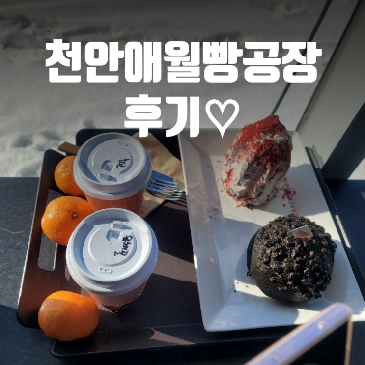 천안 애월 빵공장 가격 및 메뉴 주차까지 총정리!! (feat.내돈내산)