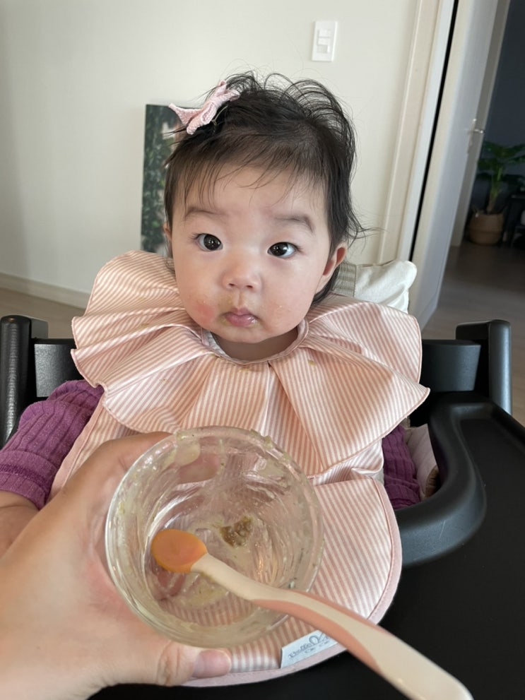  초기 이유식 기록 (D+202~204, 하루 2끼 시작)
