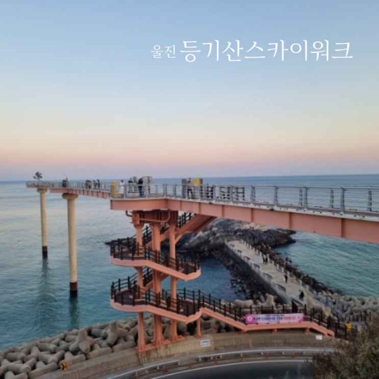  울진 일몰 등기산 스카이워크/후포 갓바위/울진 가볼만한곳