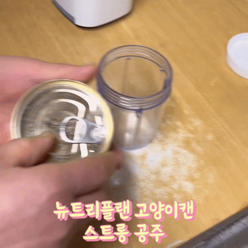  뉴트리플랜 디쉬 습식캔 기호성 좋은 고양이캔! 동원에서 나온 고양이통조림 고양이주식, 간식 추천