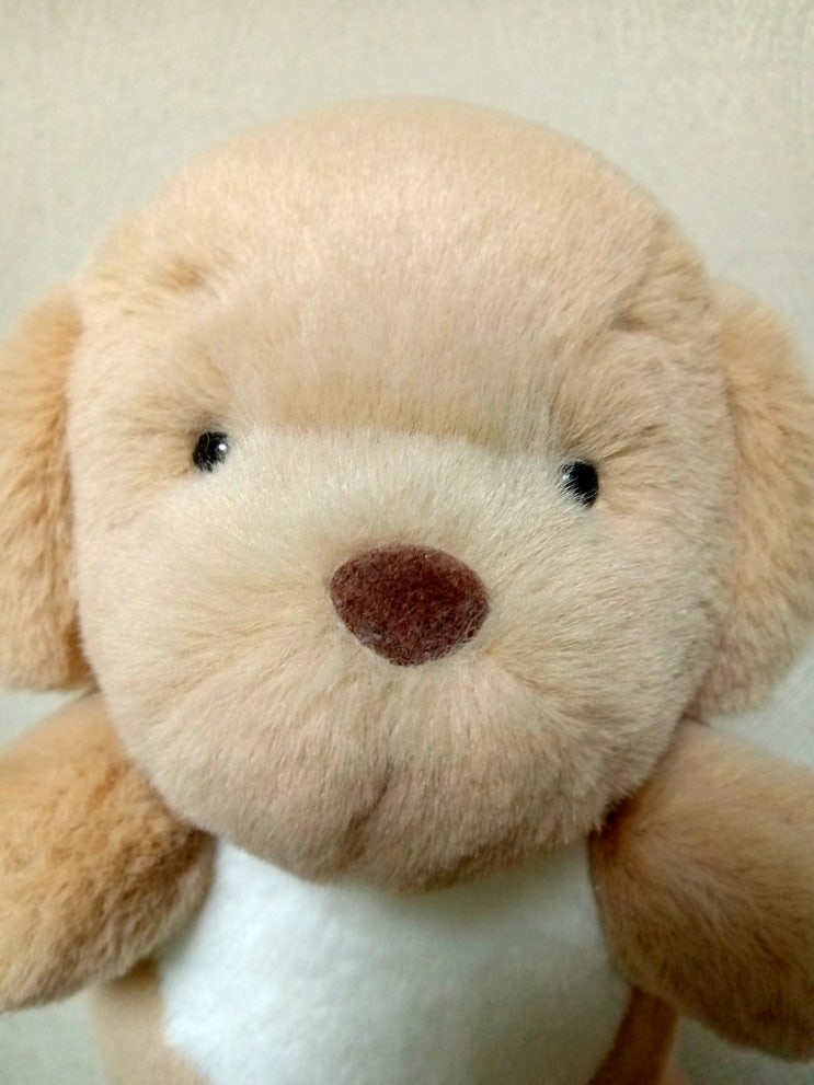  드림라피 봉제인형 마음이 후기