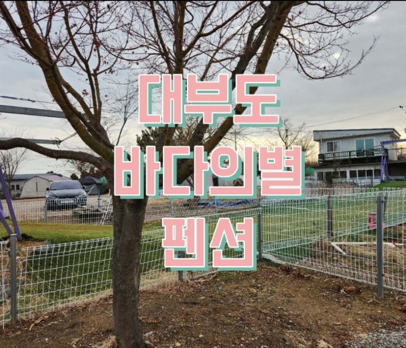 대부도 바다의별 펜션 바다2.바다3.바다4 : 아이와 방문 솔직후기