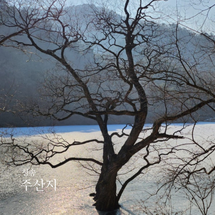  청송겨울 주산지  한적하게 걷기좋은 주왕산국립공원