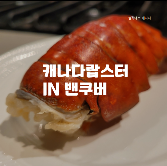  랭리) 캐나다에서 먹는 캐나다 랍스터