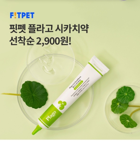  1월 26일 OK캐쉬백 오퀴즈 핏펫 치약 정답