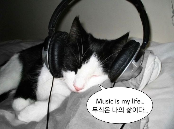 Music is my life..