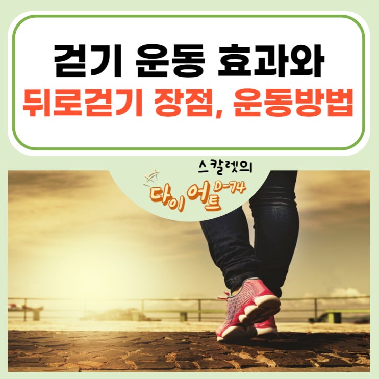  걷기 운동의 효과와 뒤로 걷기의 장점 및 뒤로걷기 운동방법