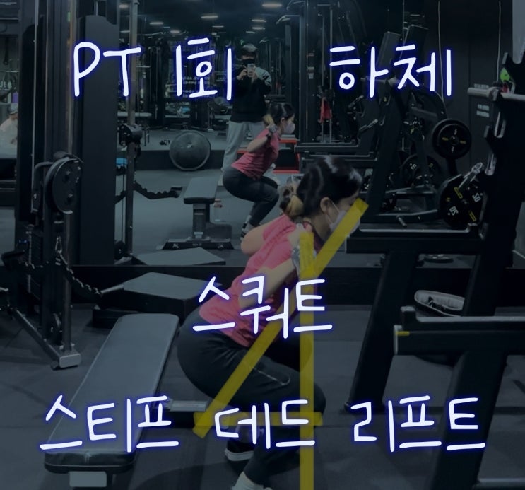  [오운완#1] 다시 시작하는 PT1: 하체_스쿼트 친구들과 스티프 데드 리프트